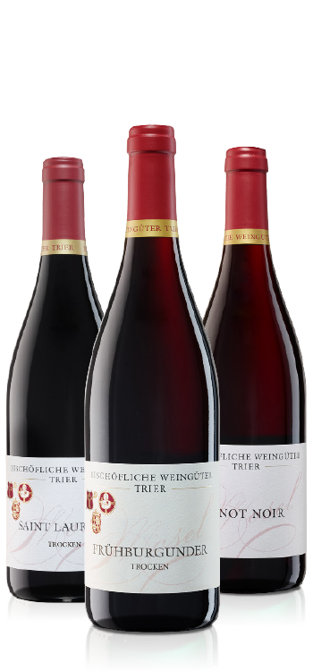 Den Frühling genießen 3 x 2 Flaschen Rotwein trocken 