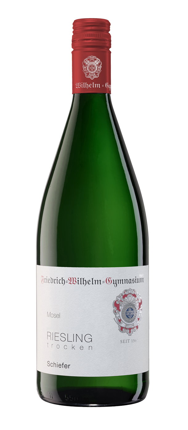 Literpaket 12 FL. 2023 SCHIEFER Riesling trocken - liter 